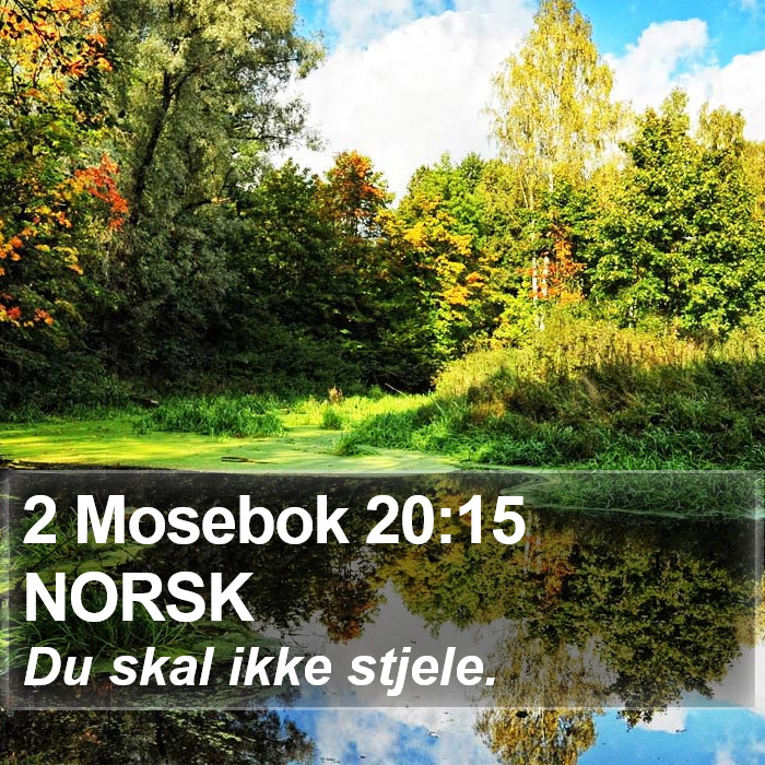 2 Mosebok 20:15 NORSK Bible Study