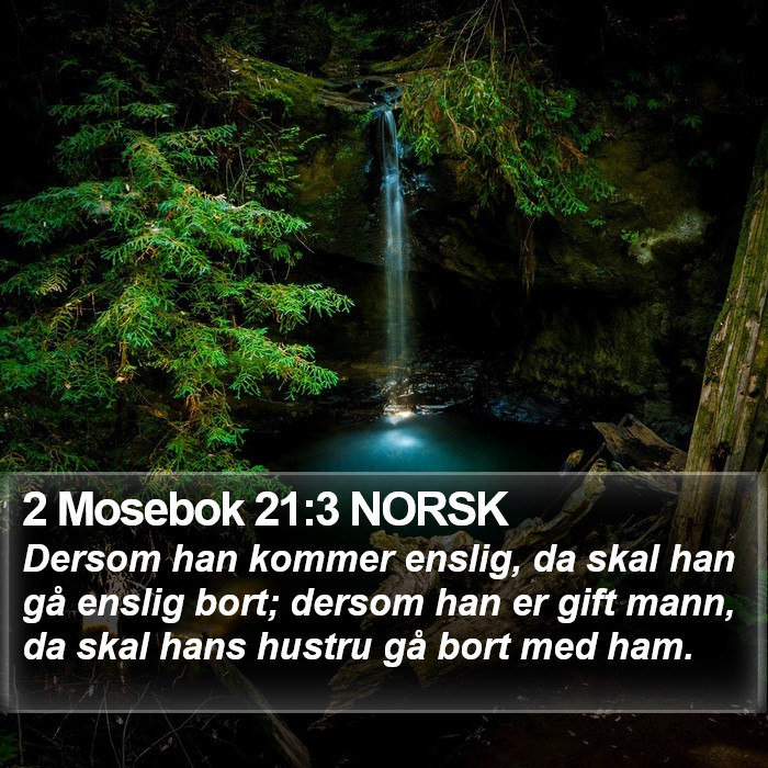 2 Mosebok 21:3 NORSK Bible Study