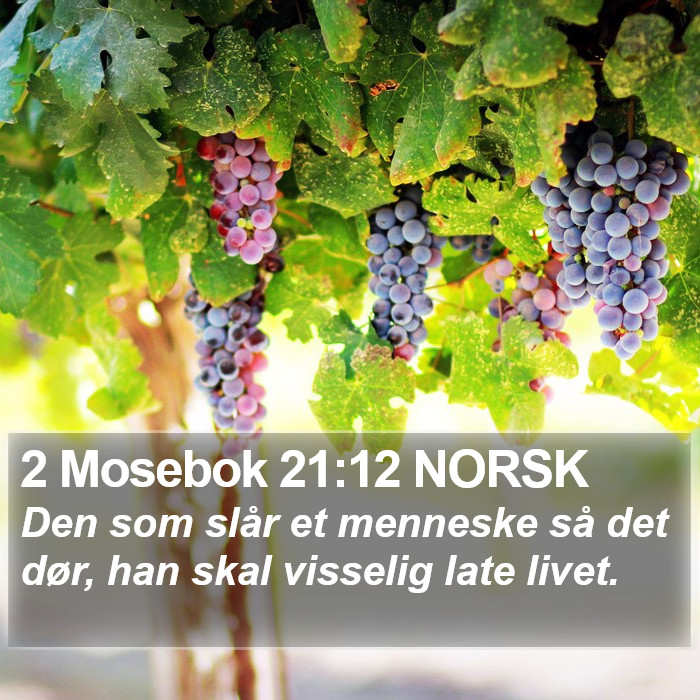 2 Mosebok 21:12 NORSK Bible Study
