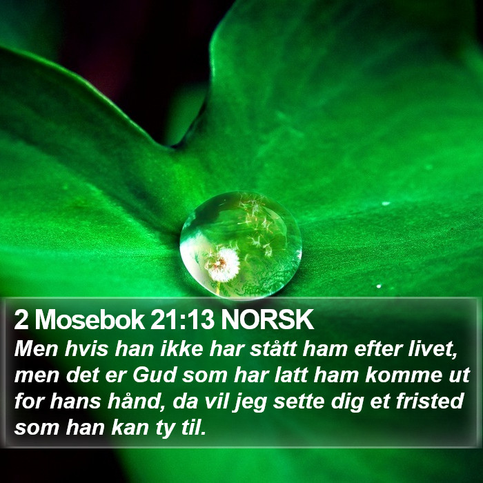 2 Mosebok 21:13 NORSK Bible Study