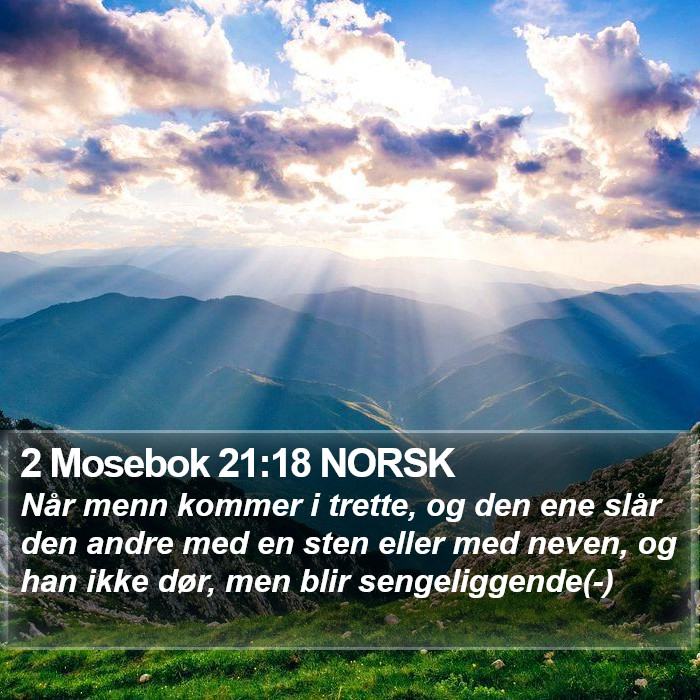 2 Mosebok 21:18 NORSK Bible Study