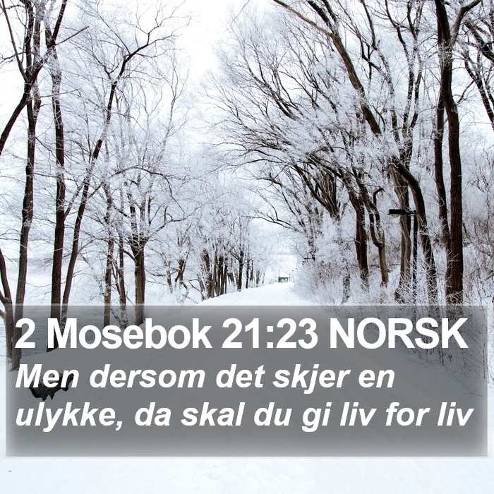 2 Mosebok 21:23 NORSK Bible Study