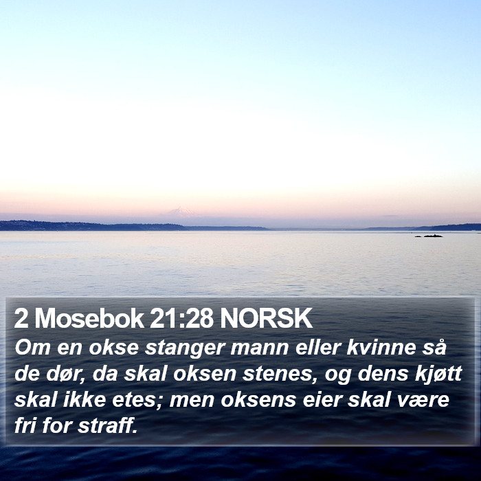 2 Mosebok 21:28 NORSK Bible Study