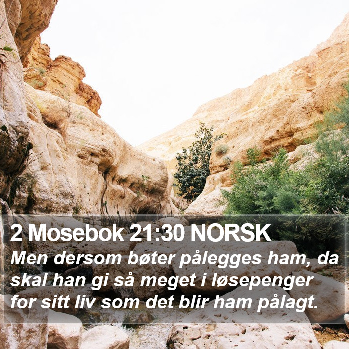 2 Mosebok 21:30 NORSK Bible Study