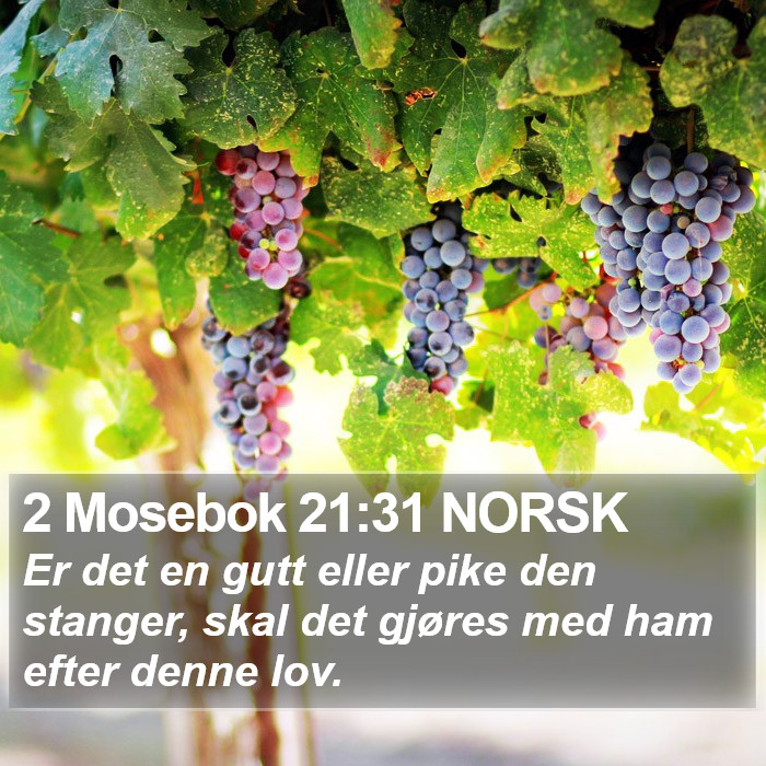 2 Mosebok 21:31 NORSK Bible Study