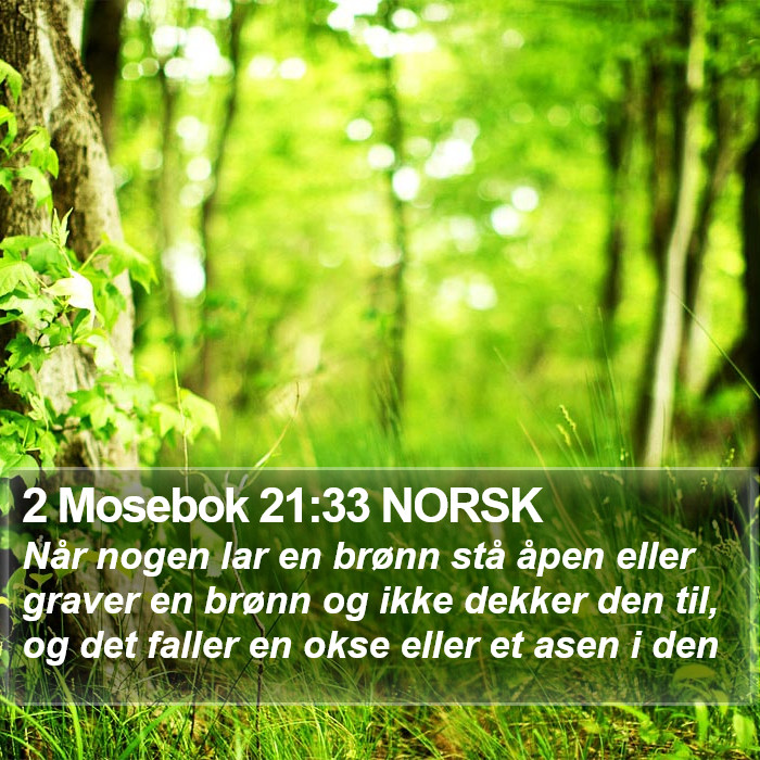2 Mosebok 21:33 NORSK Bible Study
