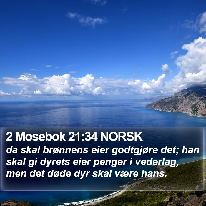 2 Mosebok 21:34 NORSK Bible Study