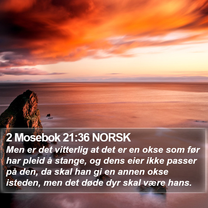 2 Mosebok 21:36 NORSK Bible Study