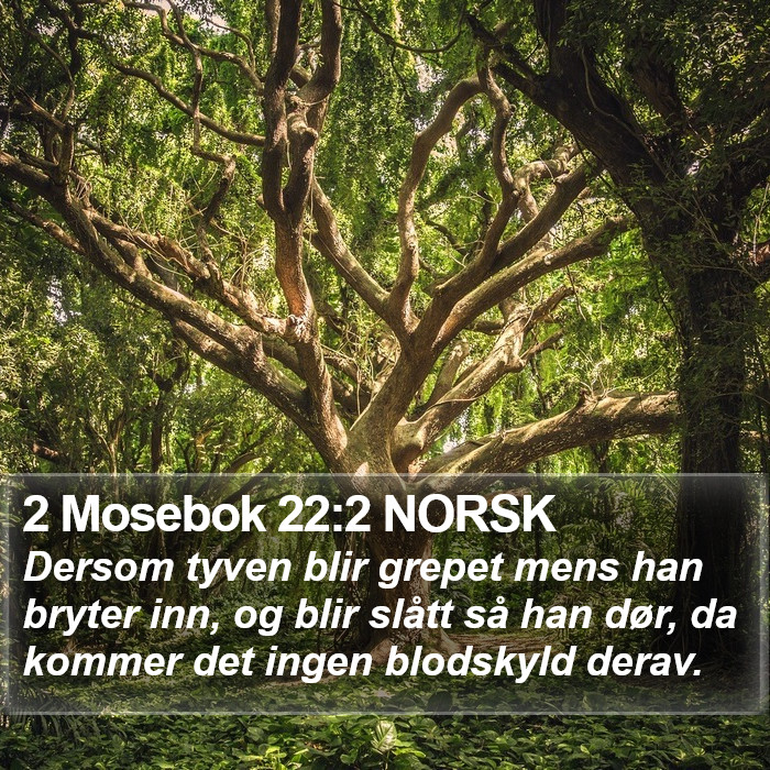 2 Mosebok 22:2 NORSK Bible Study