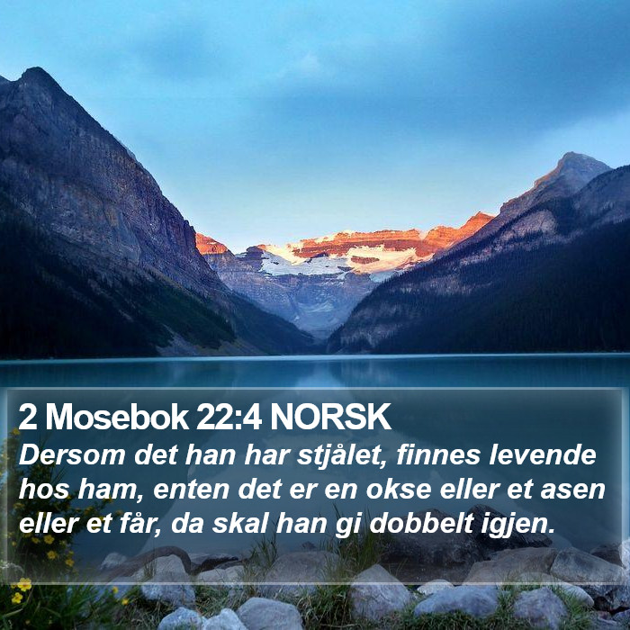 2 Mosebok 22:4 NORSK Bible Study