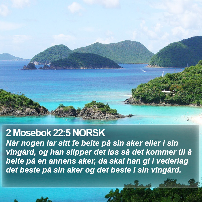 2 Mosebok 22:5 NORSK Bible Study