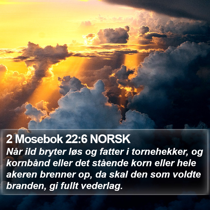 2 Mosebok 22:6 NORSK Bible Study