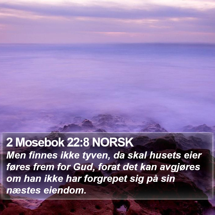 2 Mosebok 22:8 NORSK Bible Study