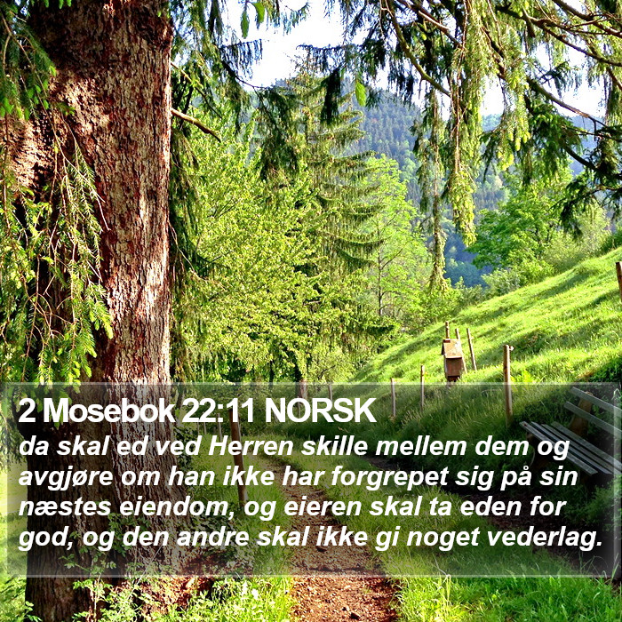 2 Mosebok 22:11 NORSK Bible Study