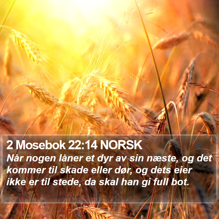 2 Mosebok 22:14 NORSK Bible Study
