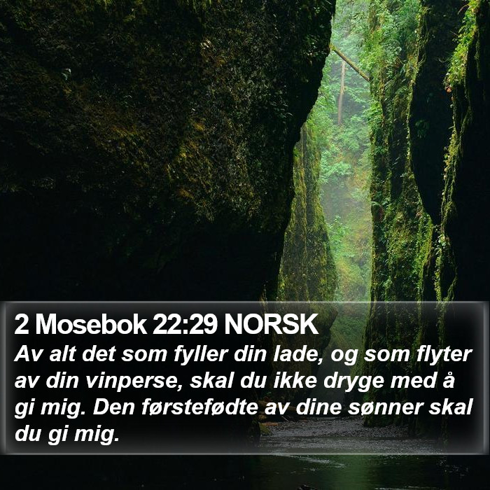 2 Mosebok 22:29 NORSK Bible Study