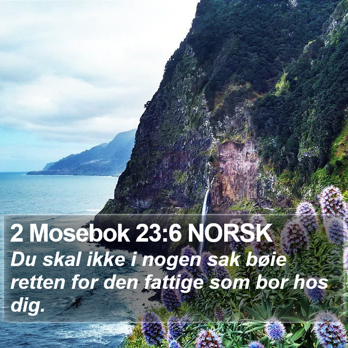 2 Mosebok 23:6 NORSK Bible Study