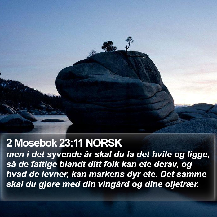 2 Mosebok 23:11 NORSK Bible Study