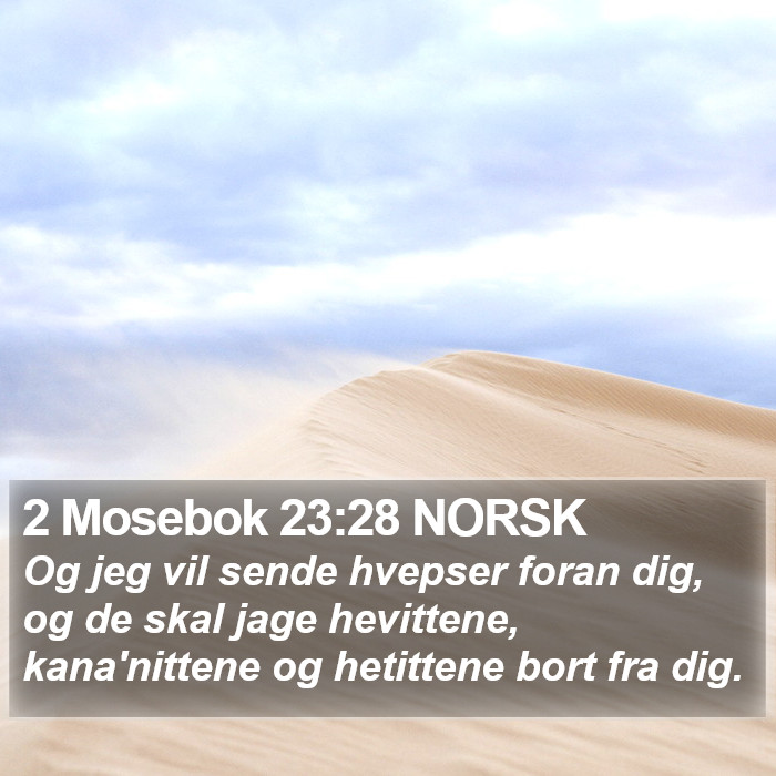 2 Mosebok 23:28 NORSK Bible Study