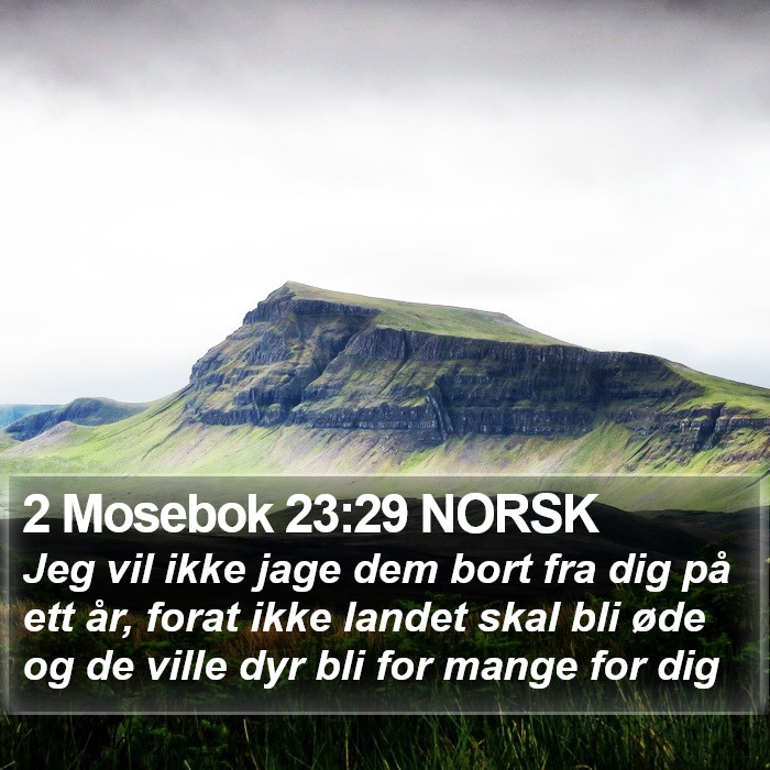 2 Mosebok 23:29 NORSK Bible Study