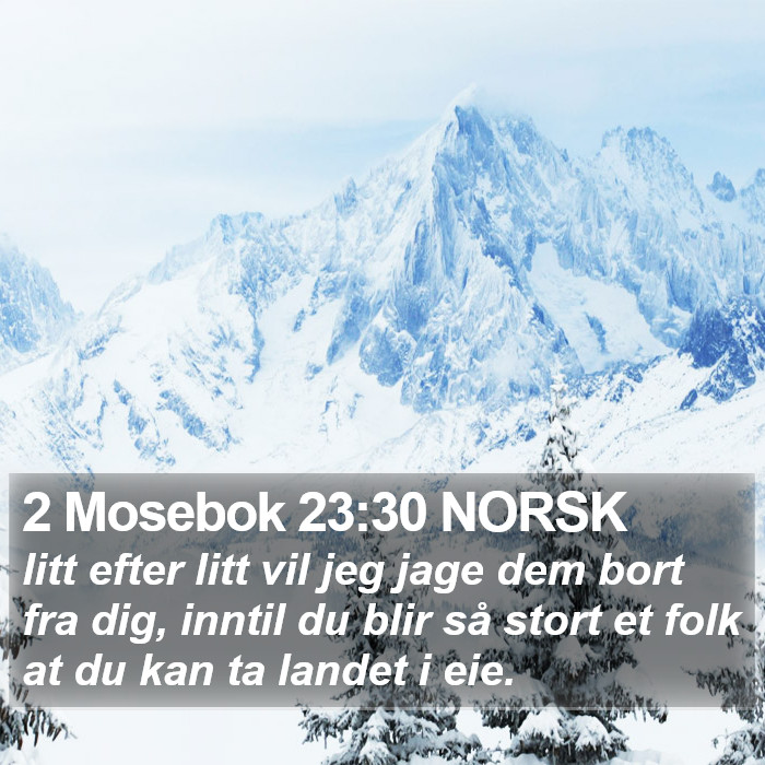 2 Mosebok 23:30 NORSK Bible Study