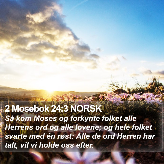 2 Mosebok 24:3 NORSK Bible Study