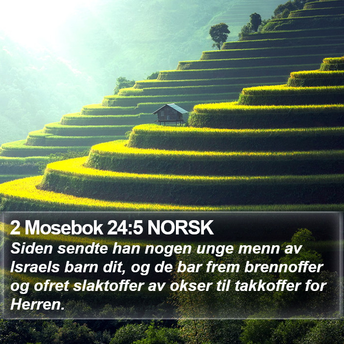 2 Mosebok 24:5 NORSK Bible Study