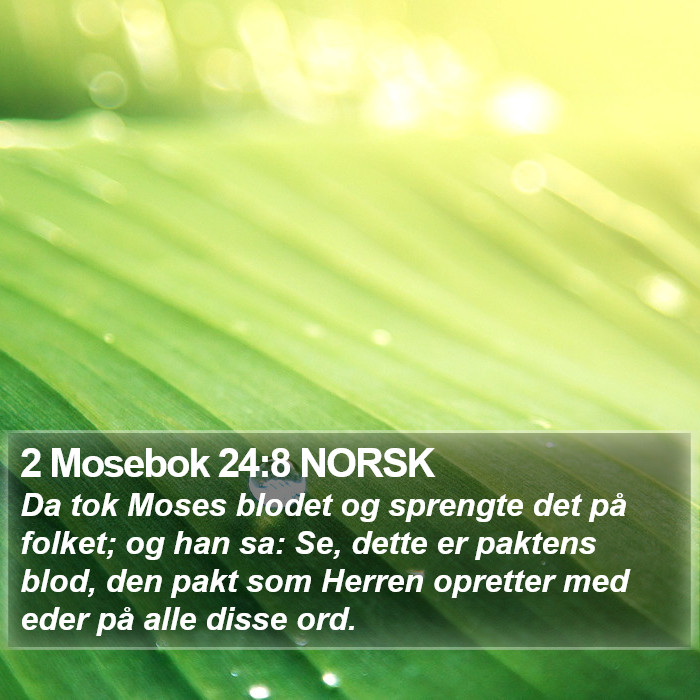 2 Mosebok 24:8 NORSK Bible Study