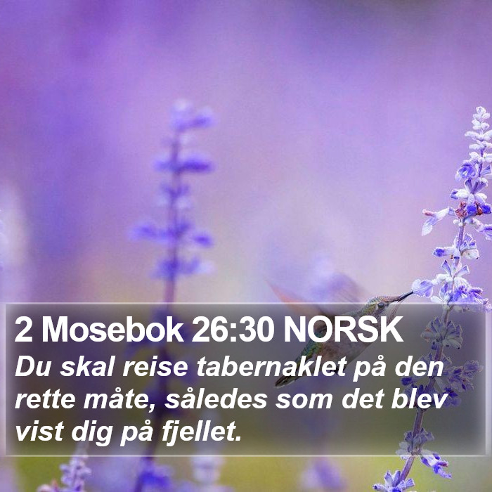 2 Mosebok 26:30 NORSK Bible Study