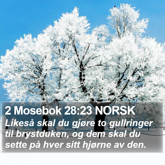 2 Mosebok 28:23 NORSK Bible Study