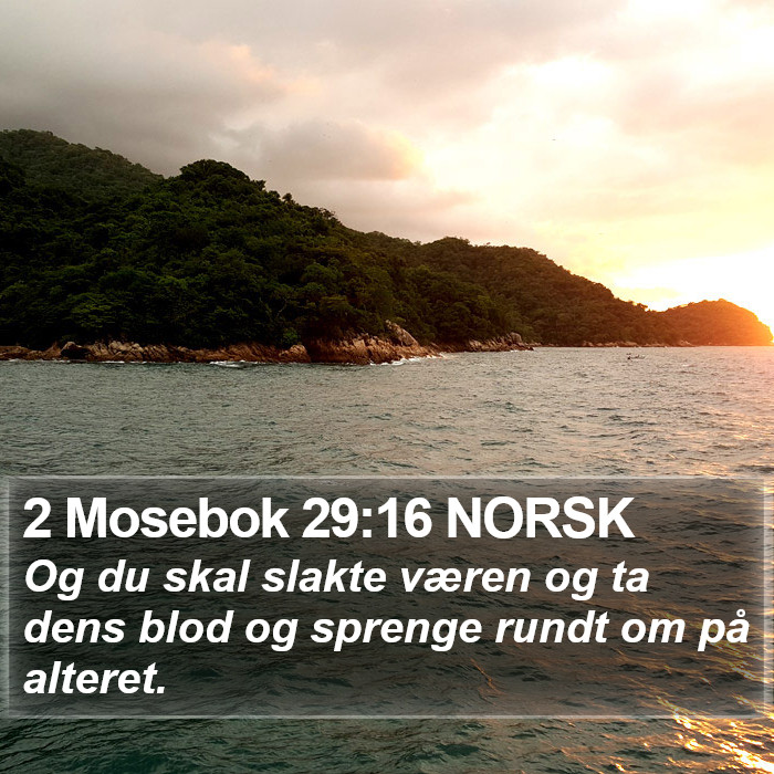 2 Mosebok 29:16 NORSK Bible Study