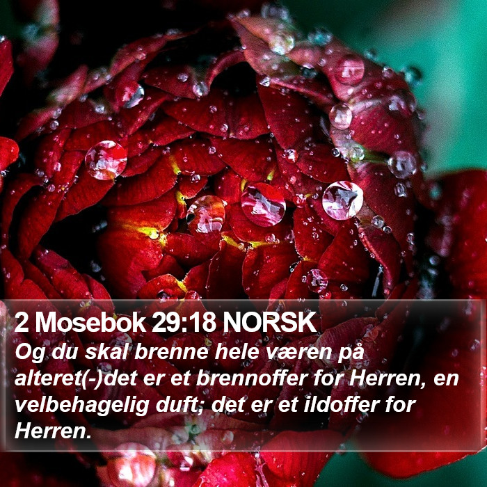 2 Mosebok 29:18 NORSK Bible Study
