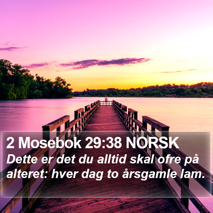 2 Mosebok 29:38 NORSK Bible Study