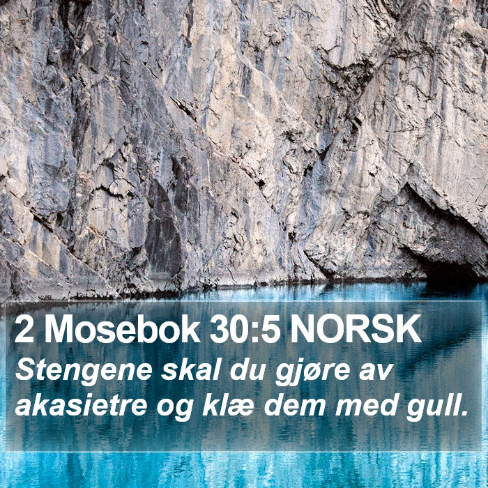 2 Mosebok 30:5 NORSK Bible Study