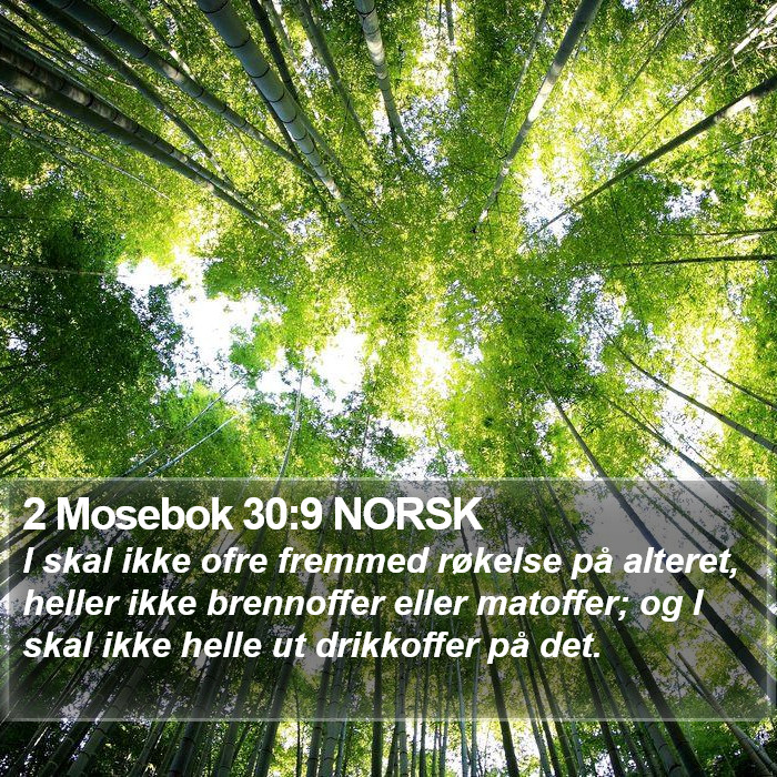 2 Mosebok 30:9 NORSK Bible Study
