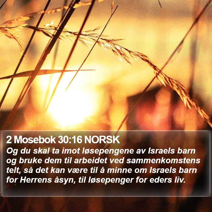 2 Mosebok 30:16 NORSK Bible Study