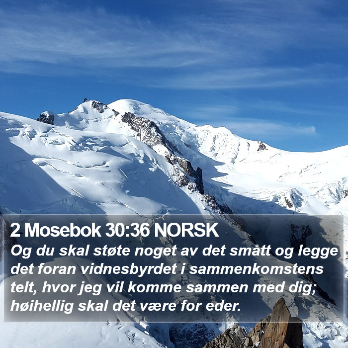 2 Mosebok 30:36 NORSK Bible Study
