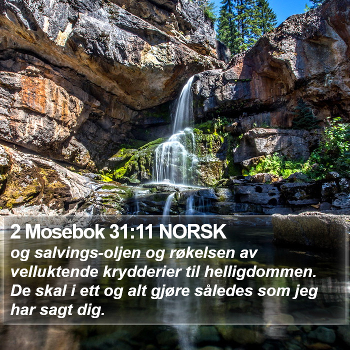 2 Mosebok 31:11 NORSK Bible Study