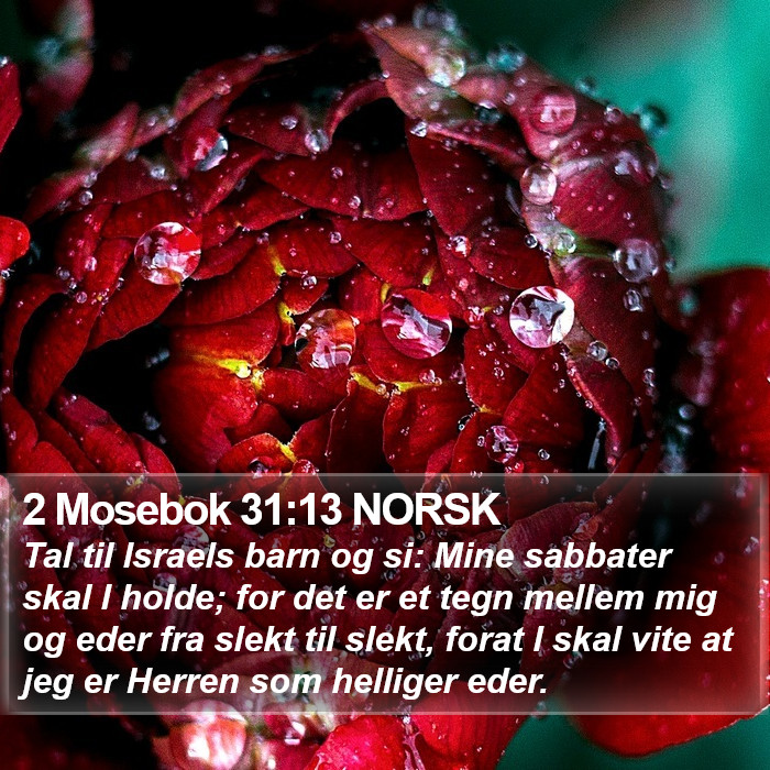 2 Mosebok 31:13 NORSK Bible Study