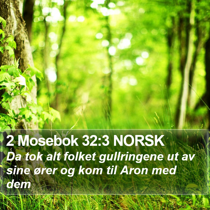 2 Mosebok 32:3 NORSK Bible Study