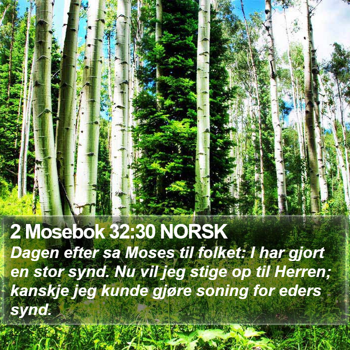 2 Mosebok 32:30 NORSK Bible Study