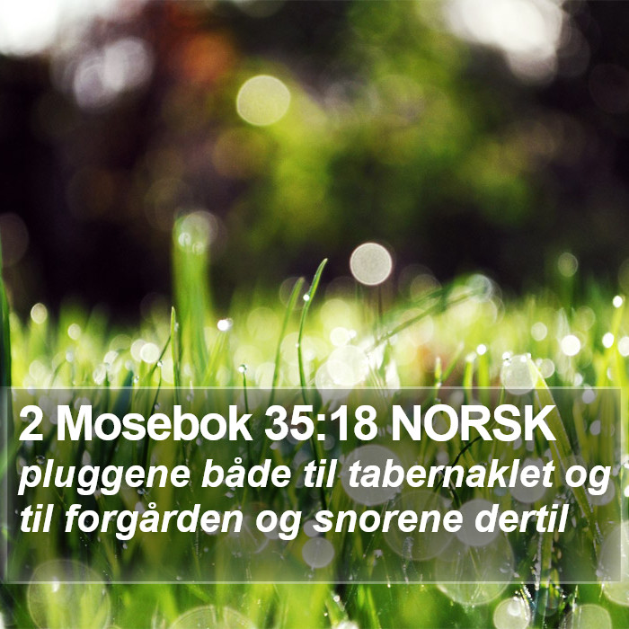 2 Mosebok 35:18 NORSK Bible Study