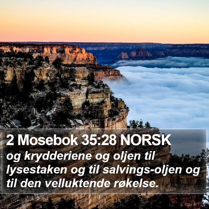 2 Mosebok 35:28 NORSK Bible Study