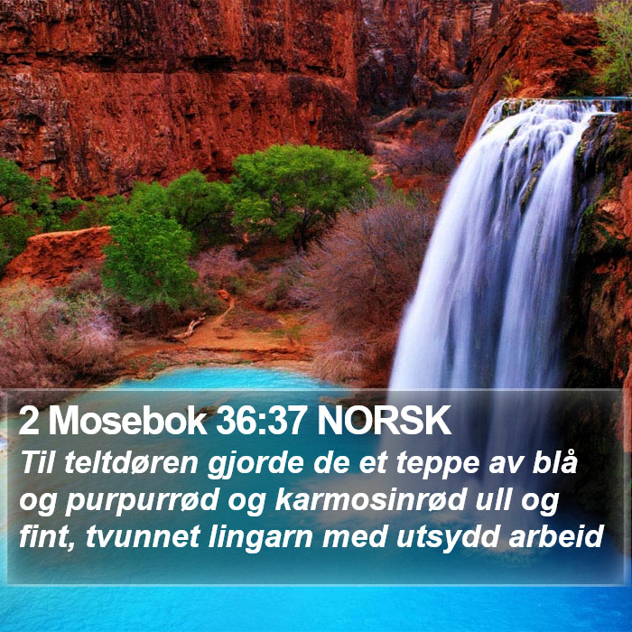 2 Mosebok 36:37 NORSK Bible Study