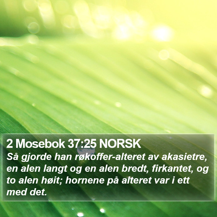 2 Mosebok 37:25 NORSK Bible Study
