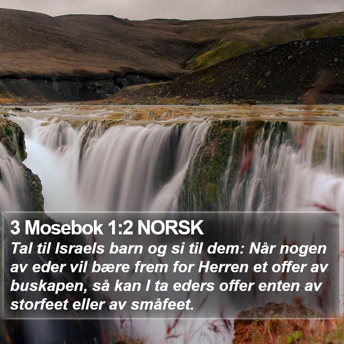 3 Mosebok 1:2 NORSK Bible Study