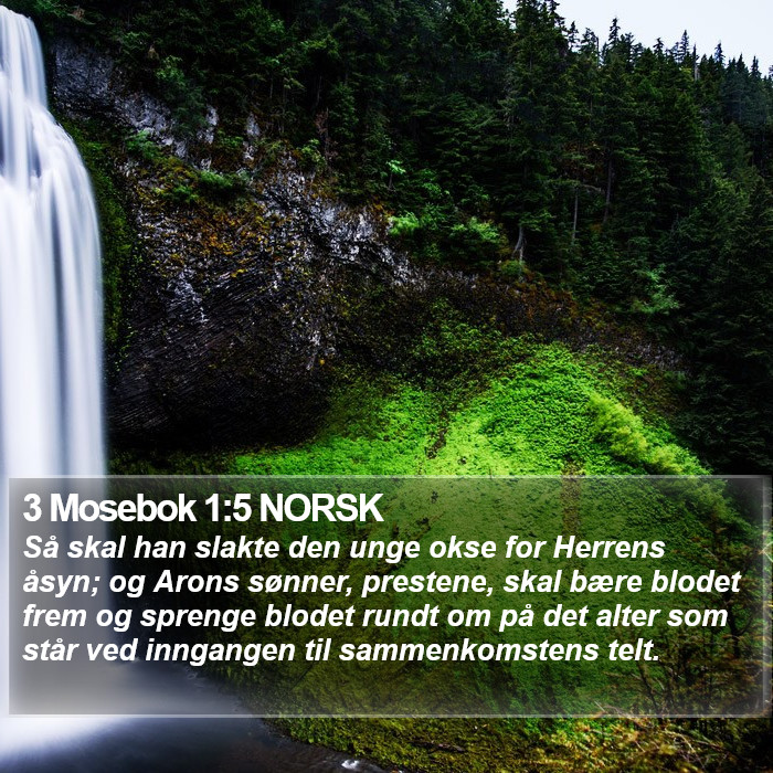 3 Mosebok 1:5 NORSK Bible Study