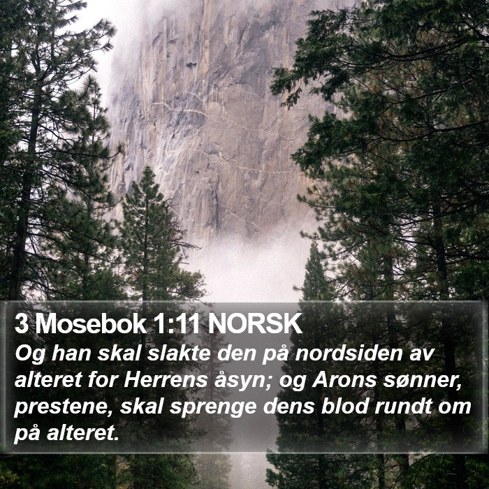 3 Mosebok 1:11 NORSK Bible Study