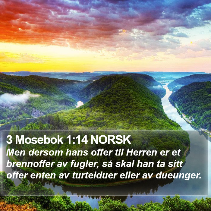 3 Mosebok 1:14 NORSK Bible Study