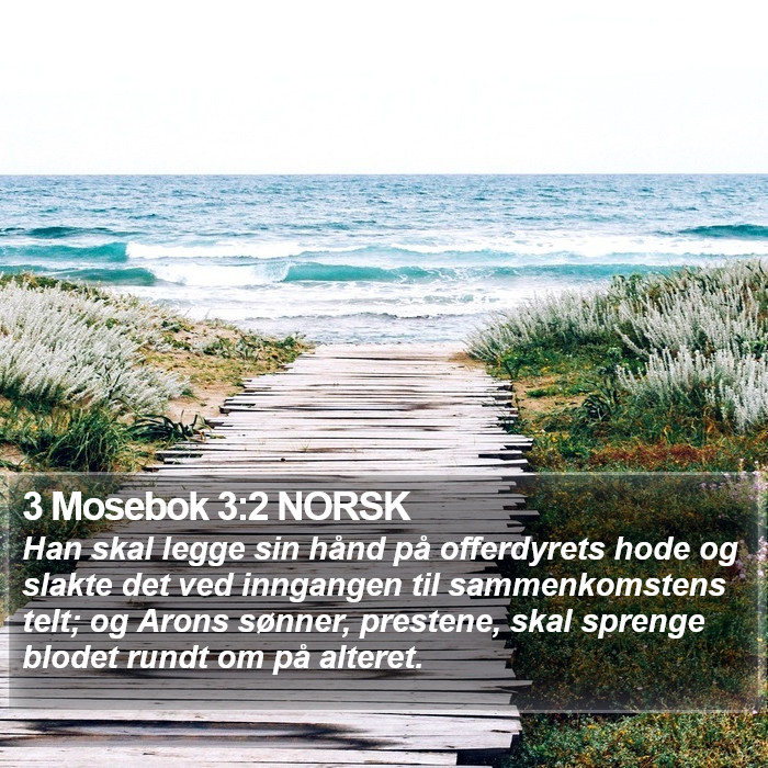 3 Mosebok 3:2 NORSK Bible Study